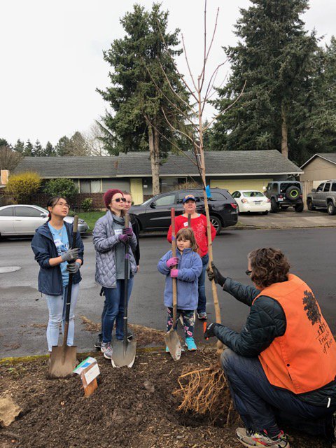 Friends of Trees 🌳 (@friendsoftrees) on Twitter photo What an amazing wknd of 🌳 + 😀! Thx to your hard work & support, we planted 1,500+ 🌳+🌿 throughout #Vancouverusa, #Tigard & #Hillsboro! Big thx to you 🌳⭐️'s, partners <a href="/VanPubWorksUS/">VancouverPublicWorks</a>, <a href="/TigardOR/">City of Tigard</a>, <a href="/CleanWaterNews/">Clean Water Services</a>, <a href="/BESPortland/">BESPortland</a> & sponsor <a href="/newseasons/">New Seasons Market</a>! bit.ly/2qSEKka What an amazing wknd of 🌳 + 😀! Thx to your hard work & support, we planted 1,500+ 🌳+🌿 throughout #Vancouverusa, #Tigard & #Hillsboro! Big thx to you 🌳⭐️'s, partners <a href="/VanPubWorksUS/">VancouverPublicWorks</a>, <a href="/TigardOR/">City of Tigard</a>, <a href="/CleanWaterNews/">Clean Water Services</a>, <a href="/BESPortland/">BESPortland</a> & sponsor <a href="/newseasons/">New Seasons Market</a>! bit.ly/2qSEKka