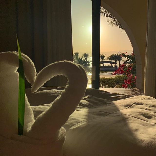 Gin_des_Lebens's tweet photo. So viel Liebe zum Detail und die tolle Gastfreundschaft haben uns überzeugt! #Hoteltipp für #Jordanien und am Blog gibt’s den Beitrag und das Video zum @talabayresort {Werbung} 😍 #aqaba #akaba #talabay #talabayresort #jordanienreise #urlaub #rotesmee… https://t.co/9BNLCU2WPc https://t.co/MaprBweEUB
