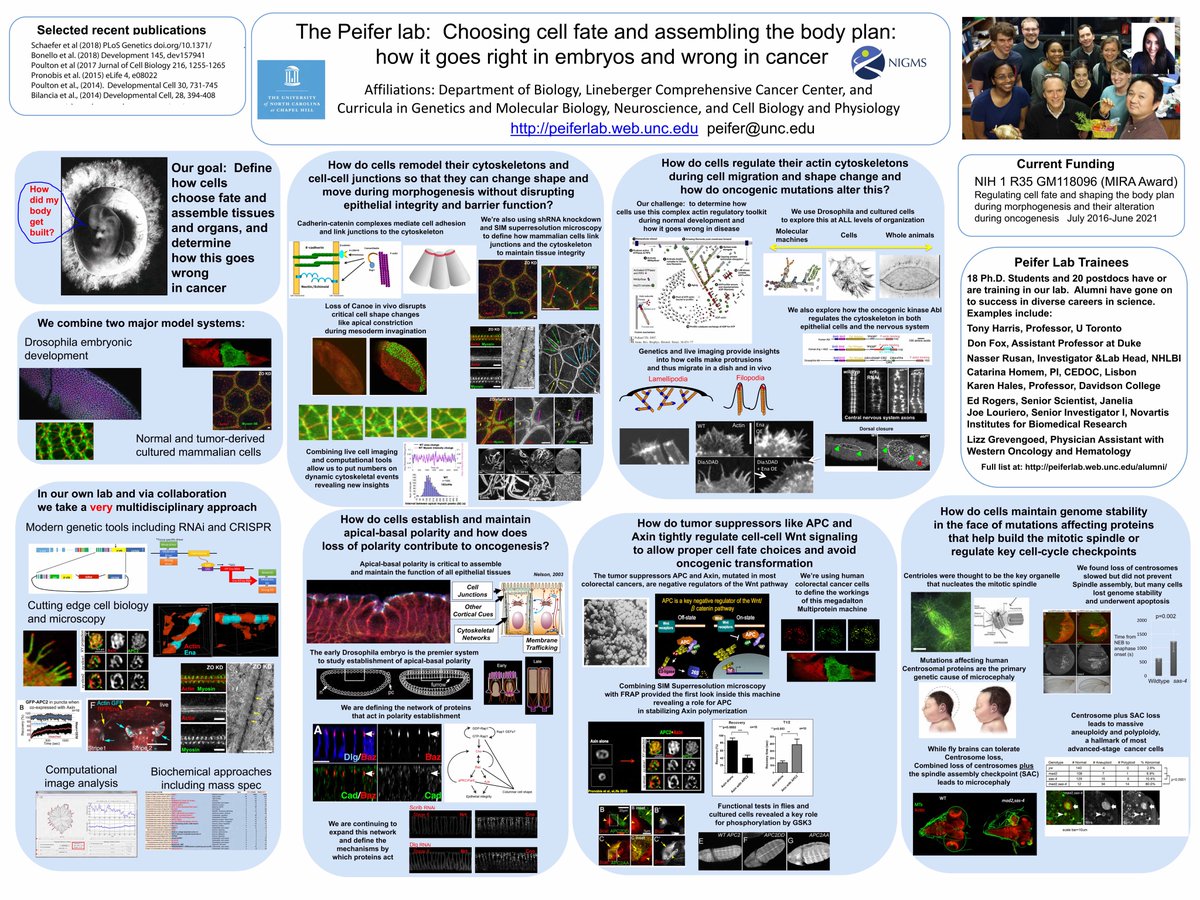 view spatially structured evolutionary algorithms artificial evolution in space and