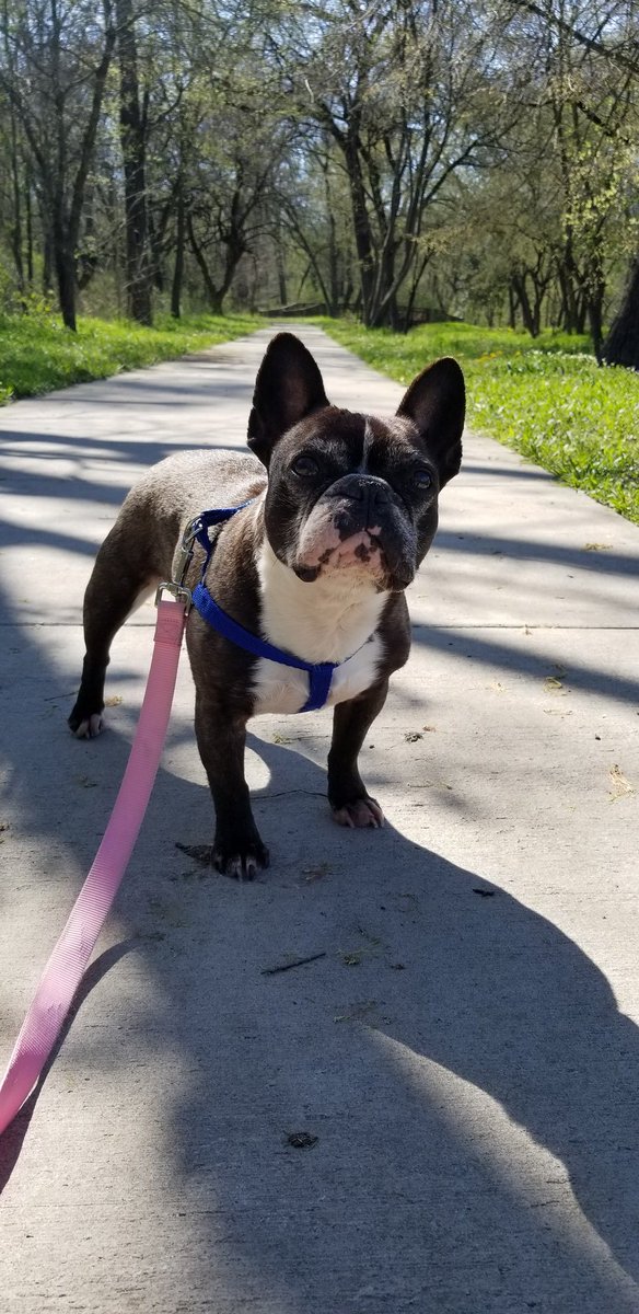 Yeah, I went walkiez too. Clearly I wuz not thrilled