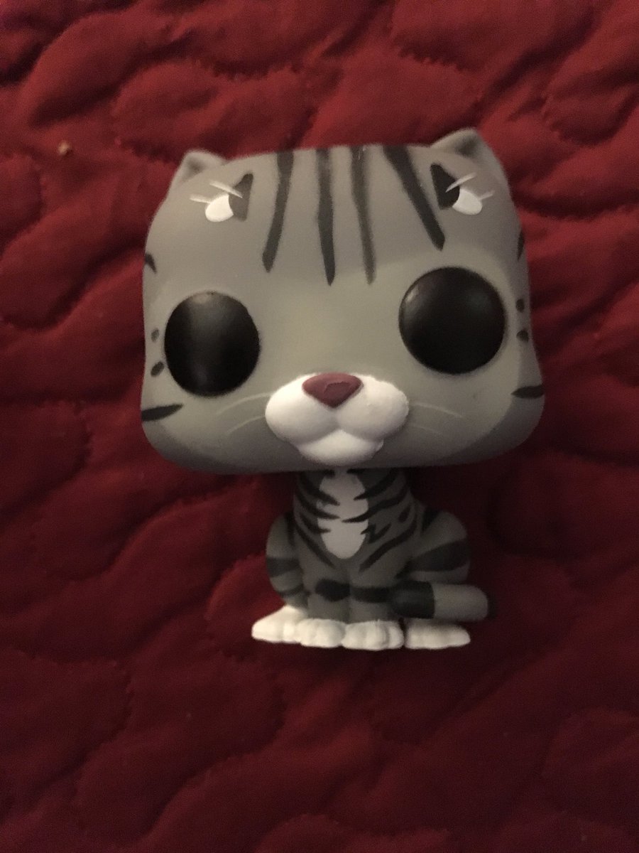 mcgonagall funko pop cat