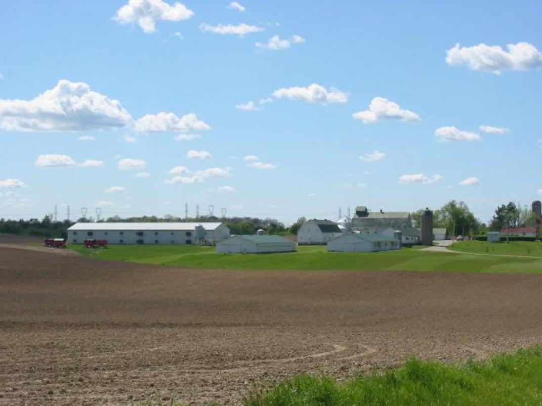 farmmarketercom's tweet photo. BROILER FARM FOR SALE!
https://t.co/NqCq2PxmcS
Farm Type: Poultry
Acreage (Total): 346
Province: Ontario
Agent: Jack Huitema
#Findyourdreamproperty #farmmarketer #chicken #broilerbarn #chicks #canadianpoultry #poultry #agproud #farm365 https://t.co/gvcu893l5j