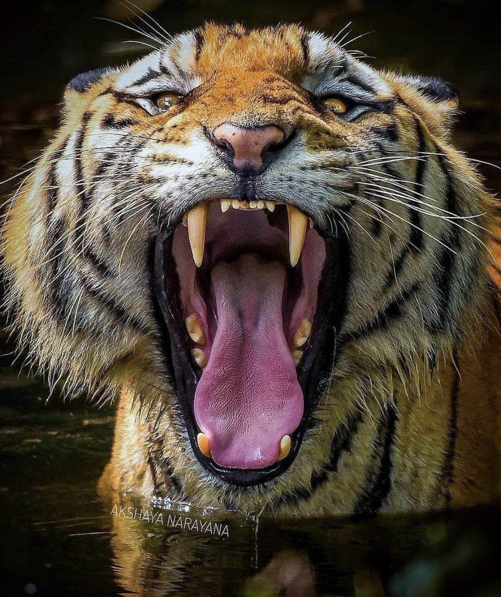 LukeBenjaminM's tweet photo. #mondaymood https://t.co/32XkAUTKQL