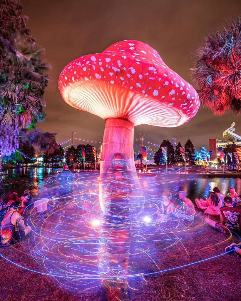 PasqualeRotella's tweet photo. 🔥🙌 I’m excited to announce that @EDC_Orlando 2019 is expanding from 2 to 3 DAYS this year!! Yup, it’s official. For 8 years we’ve been building something magical and now we’ll be going all weekend long with MORE stages, MORE artists, LARGER producti ... https://t.co/sDuA6tSaTt https://t.co/hGSTfhq6tK
