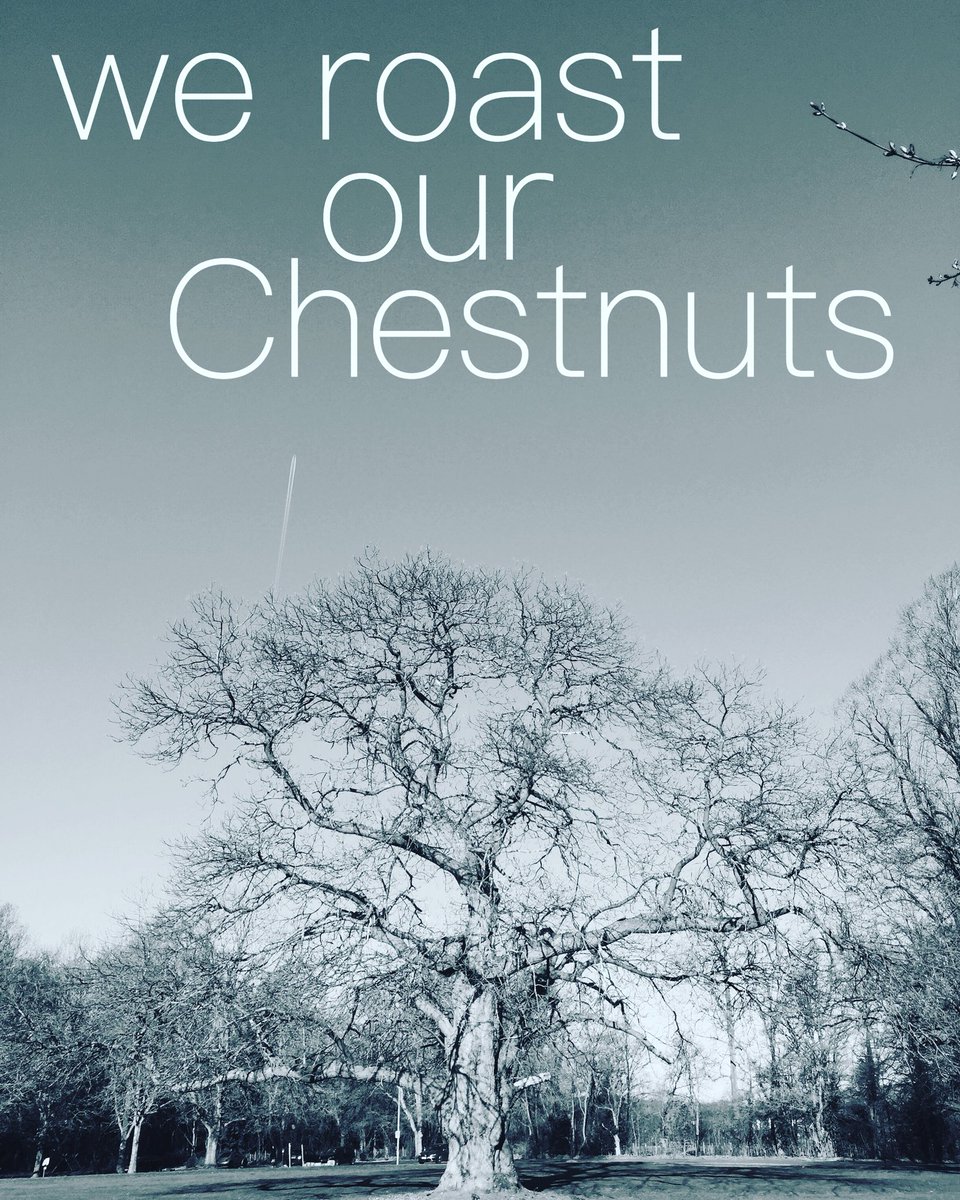 We use some of the finest and most iconic Kent botanicals in our Cantium Gin. Foraging for the best Chestnuts 🌰 that we score and roast on a open fire. It’s part of the Cantium process that gives it the elusive profile. Along with some of our other favourites #Gin