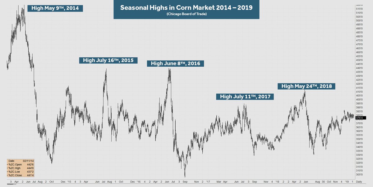 Corn Daily Price Chart