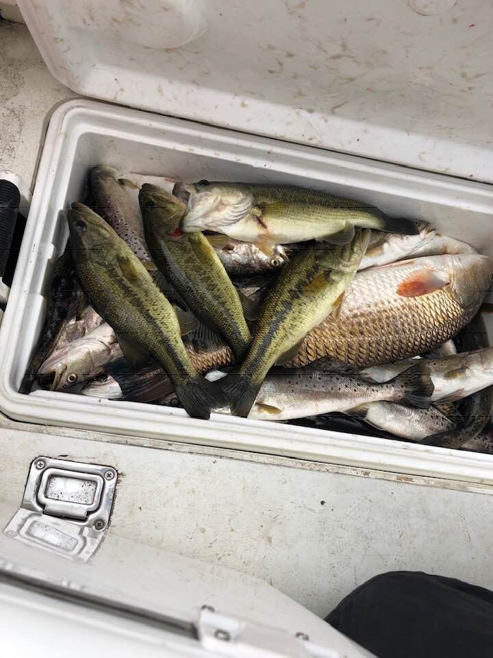 All RnR reports by Wanda Stewart 
Link:  rodnreel.com/report-author/… 
 Tackle tips from Chag's Sporting Goods