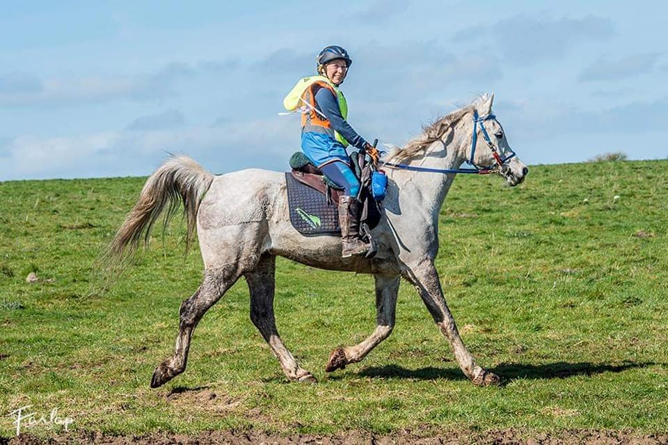 Elcarmaal's tweet photo. Rocky's first endurance ride of the season 32k at Wadebridge, Cornwall @El_Boran @forageplus @EnduranceGB #poweredbyforageplus #teamforageplus 💙💚💙 https://t.co/PynPH7i6IP