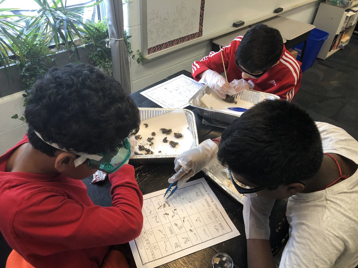 Brian Hultquist tweet media