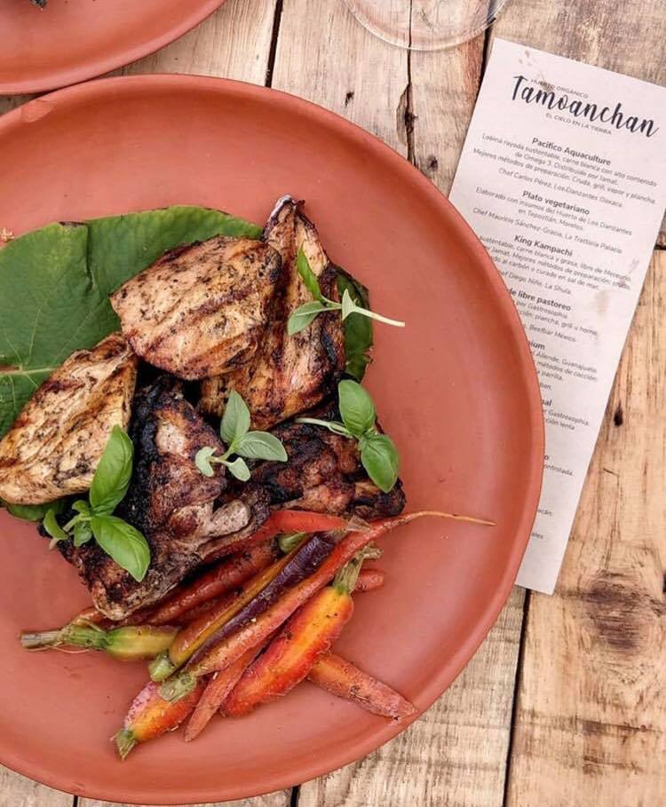BeefbarMexico's tweet photo. Este fin de semana nuestro extraordinario chef Alfredo Reyeros fue parte de la experiencia de Cocina de Huerto que presentó el restaurante Los Danzantes en Tepoztlán #Tamoanchan
Pollo al grill de libre pastoreo con un toque de coco 🥥
#BeefbarMx https://t.co/Q1c3KlFyVq