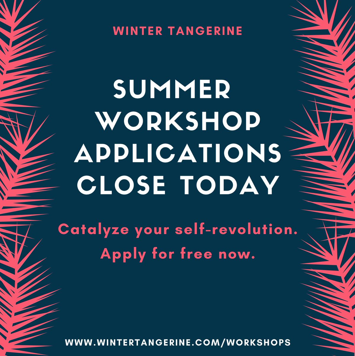 Winter Tangerine tweet media