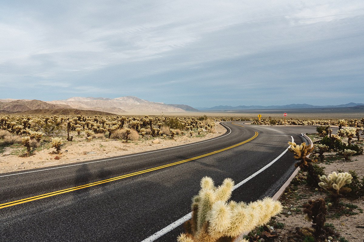 Los Angeles Tourism & Convention Board tweet media