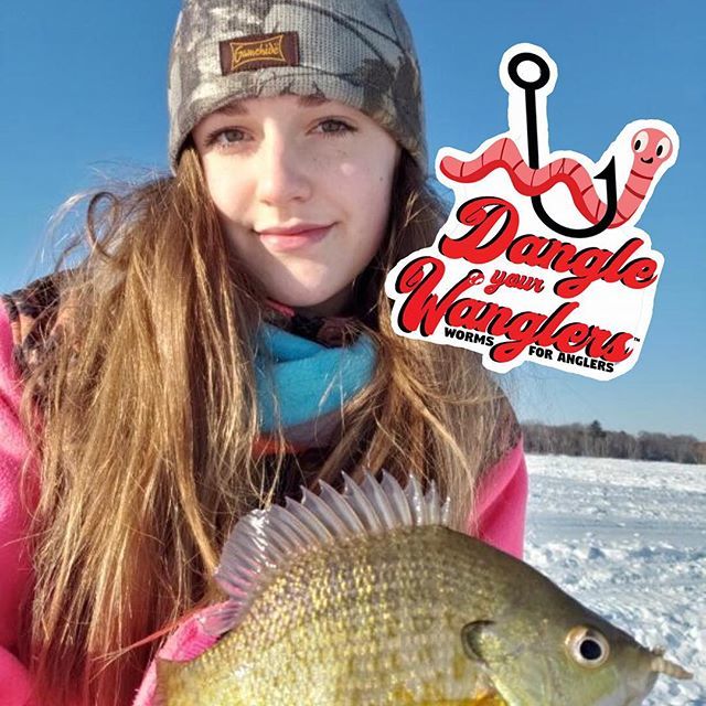 WanglersLive's tweet photo. @tessabehr tried Wanglers Live Worms on the ice!  Have you?  Get it while you can!
•
•
•
#thewormthatworks #dangleyourwanglers #icefishing #sunfish #worms #livebait #girlsfishtoo https://t.co/AhzFtIiaRH https://t.co/fveI3td8oF