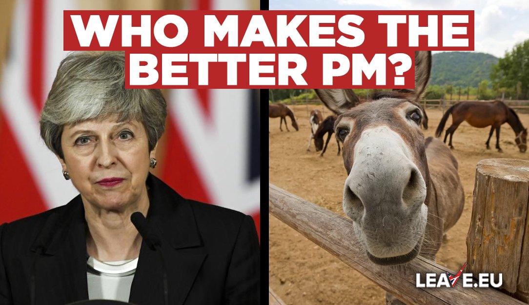 Who makes the better prime minister?

Like - Theresa May
RT - This donkey

🙋‍♂️ Support us at leave.eu/get-involved