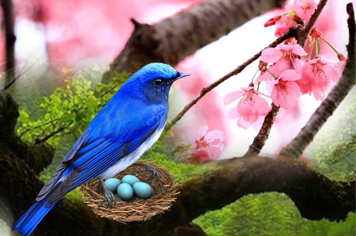 風の声が
　聞こえます

　　木々の囁きが
　　　　聞こえます

木の葉が
　枝が
　　　幹が
　　　　　語りだす

あなたは
　いつも

　　優しい
　　　　笑顔を
　　　　　　浮かべ

　微笑んでいる    

　　　　　～森の詩～