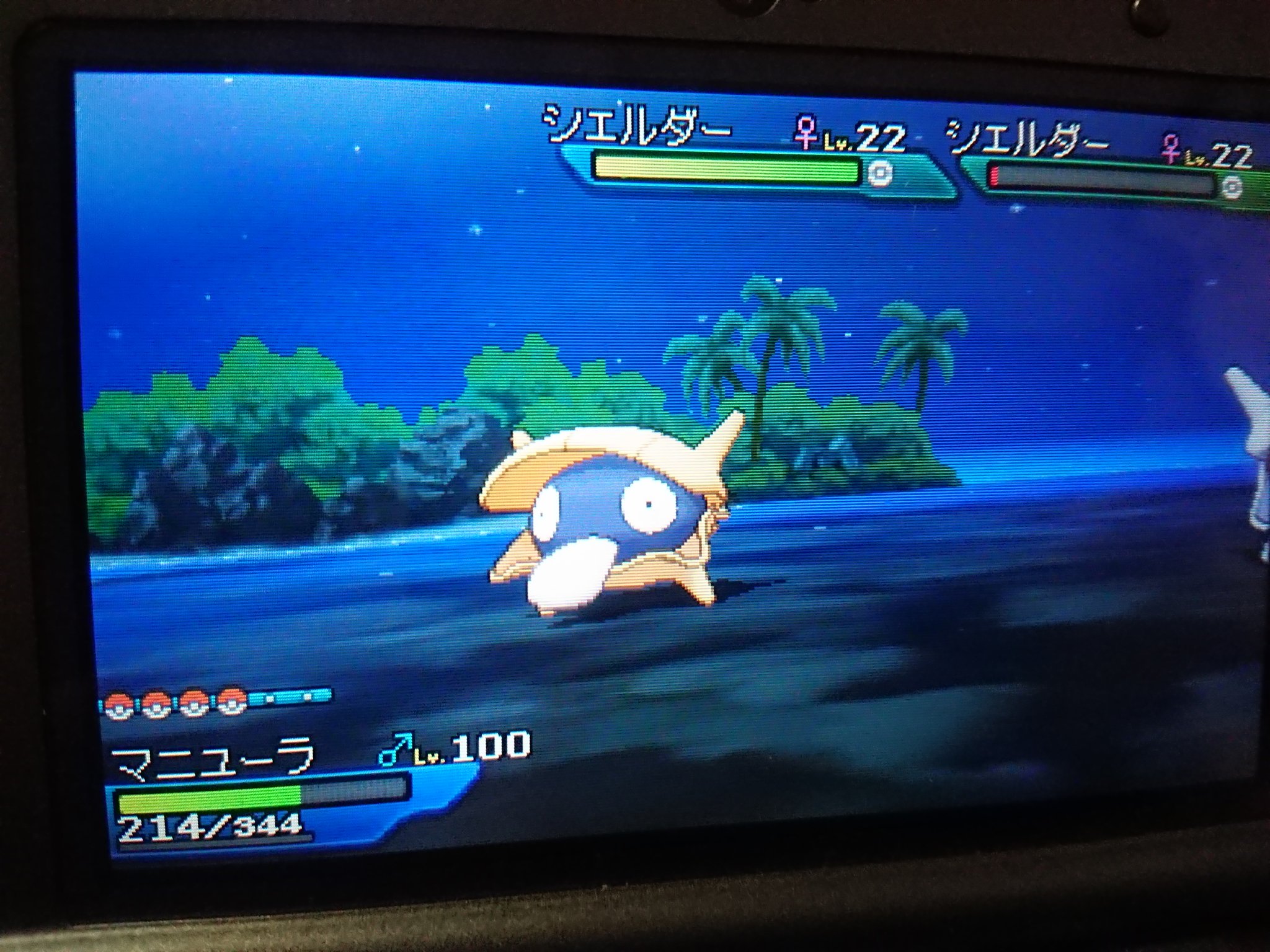 うえす カーラエ湾で色シェルダーとタツベイゲット シェルダーは強敵だった まもる ちょうおんぱ にらみつける で混乱させられてからの自傷が大ダメージすぎて タツベイは中々出なかった 430回でようやく ポケモンusum 色違いポケモン T
