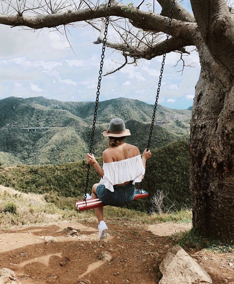 UC Theta Phi Alpha tweet media