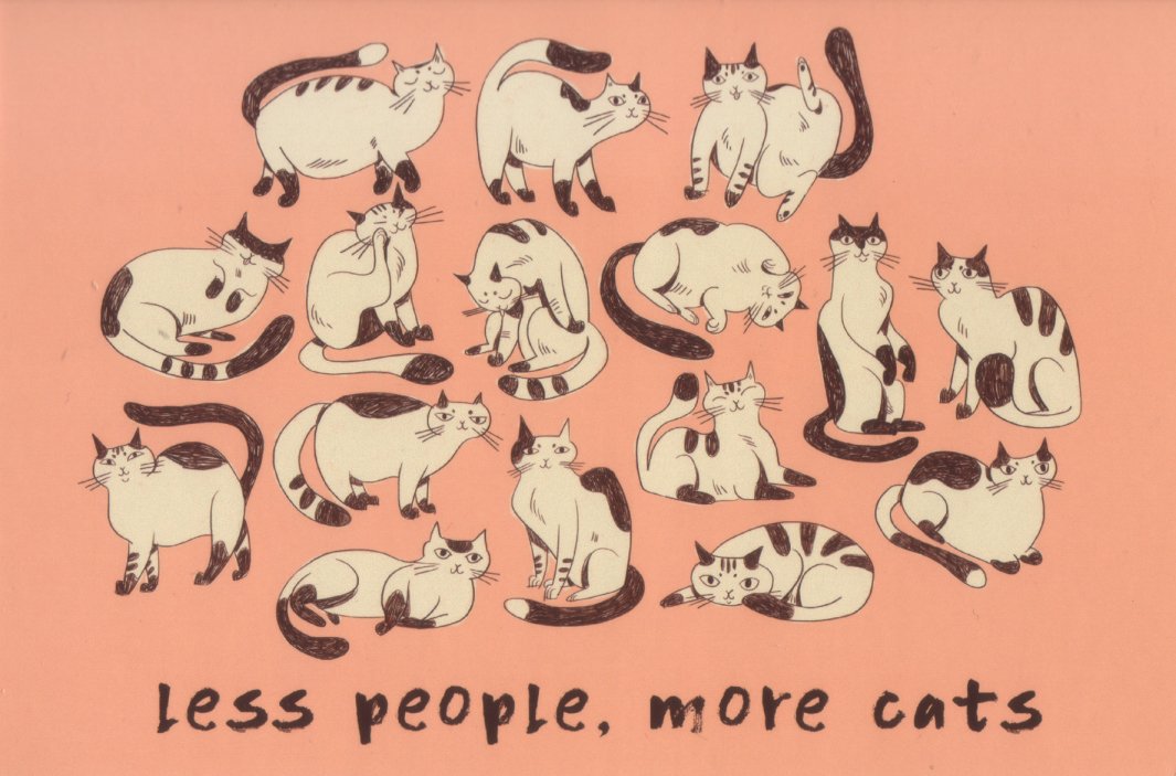 simonamodesto's tweet image. #lesspeople #morecats