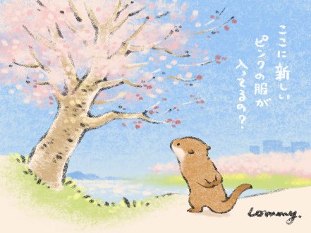 まとめ 可愛い嘘のカワウソ 5ページ目 Togetter