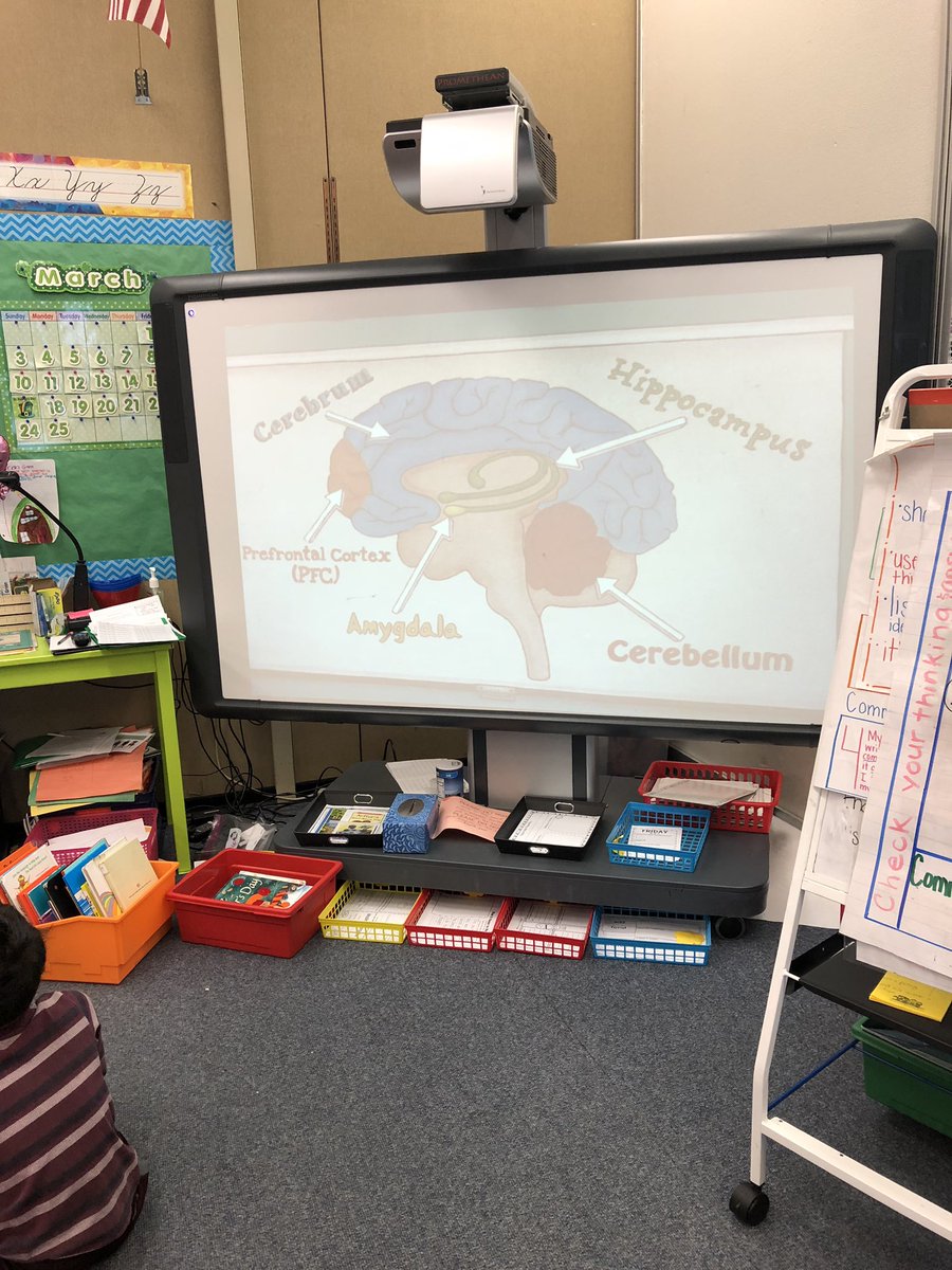 HGreenWES_FCPS's tweet photo. We had a great brain workout with @EMillerFCPSAA this afternoon! We are so excited to add money riddles into our math tubs! 🧠#FCPSYet https://t.co/mLf9Ogsh59