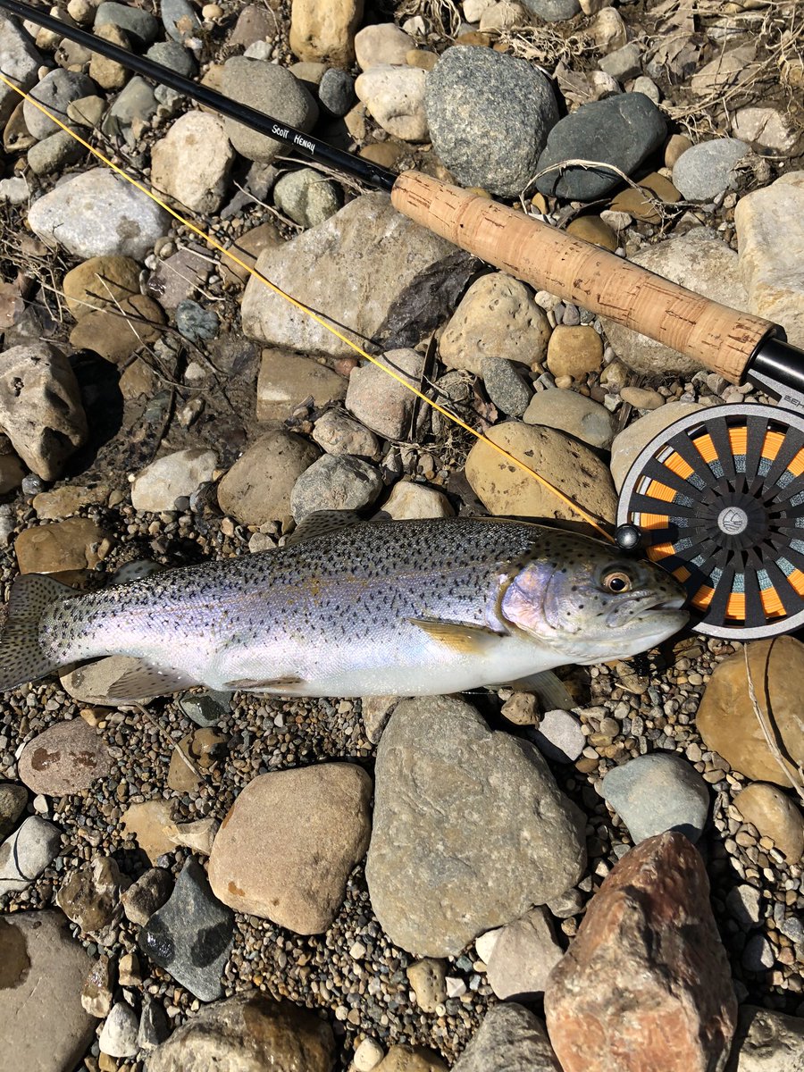 HaakTim's tweet photo. Yes, we have Rainbow Trout in @ZionsvilleIN. Stop by Moving Waters Outfitters in town to learn more. https://t.co/hD6iS83Qvv