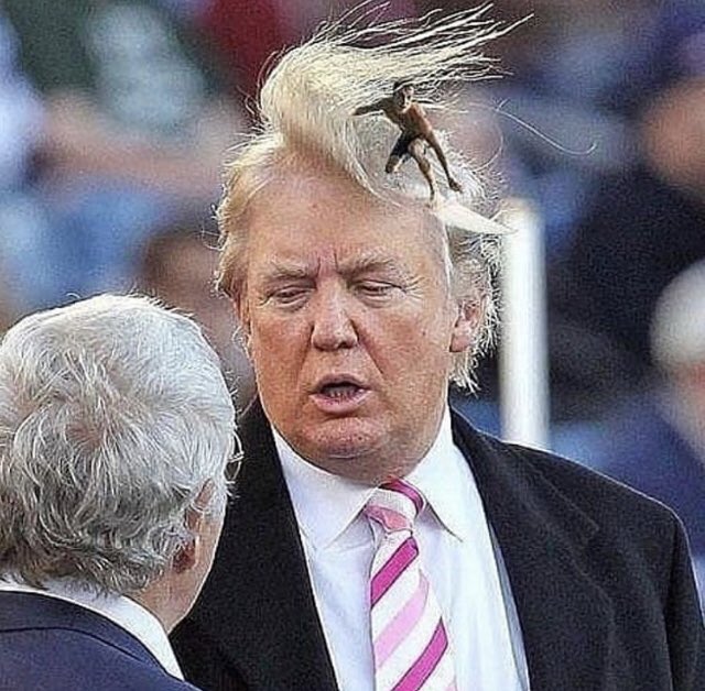 DCSurfClub's tweet photo. Love him or hate him, his hair makes for a great tube ride!  #hairsurfing #surfingUSA https://t.co/OynaIFs2JI