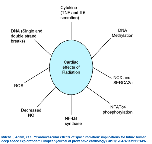 rationality and