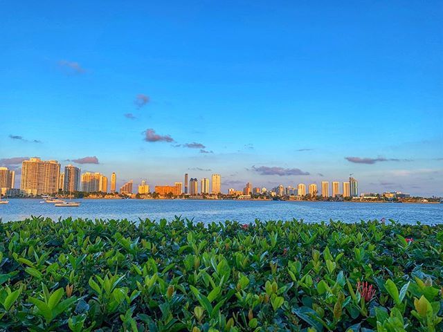 Branislaws's tweet photo. Bienvenido a Miami

#miami #whataview https://t.co/kI2Lm6LFUz