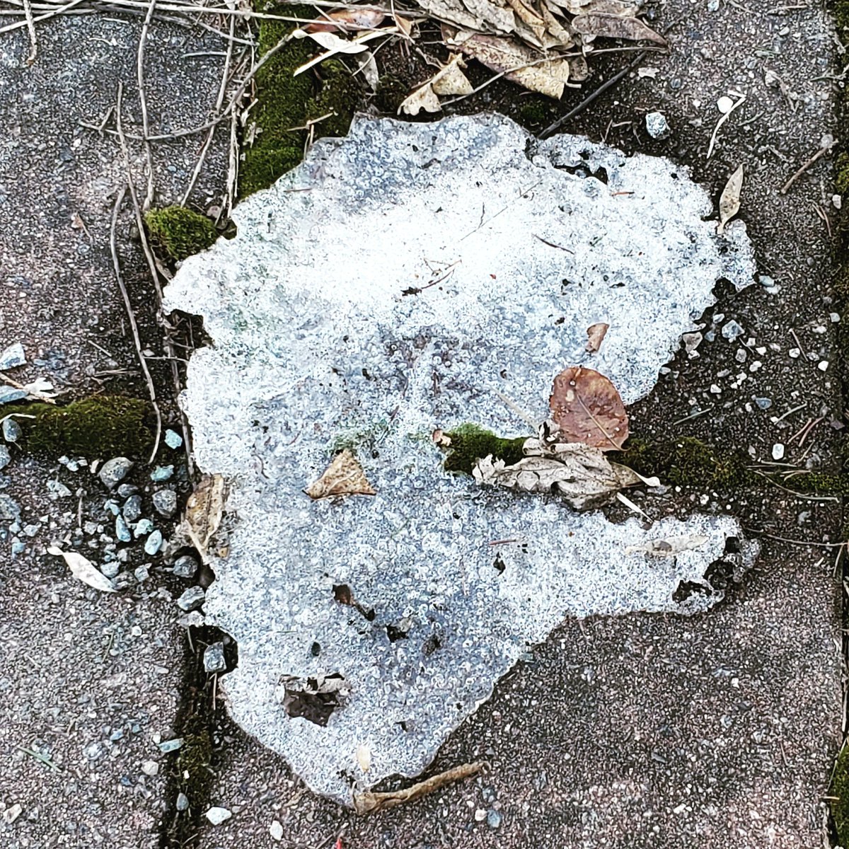 NiaAClark's tweet photo. If you think everything is terrible, I'd like to draw your attention to this patch of ice in my backyard as Spring tells the last remnants of Winter to exit-stage-left. It's always darkest before dawn. Always #Winter before #Spring.
#ByeWinter #HiSpring #SeasonsChange #HelloSun https://t.co/CtRp3GrS43