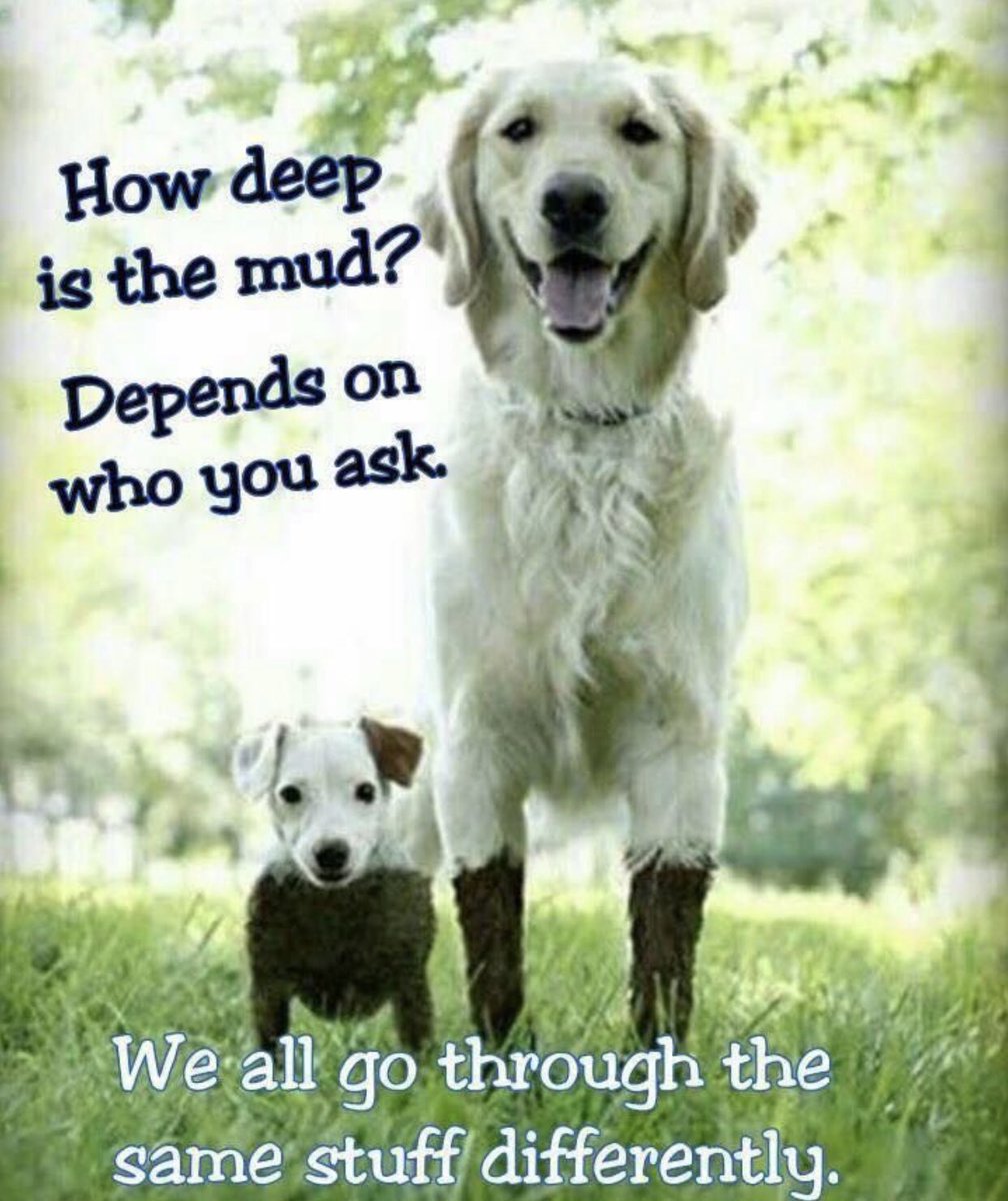 lovelylittlere1's tweet photo. #healing #pain #reparation #trauma #infidelity #marriagerecovery https://t.co/jB2iMYbVVv