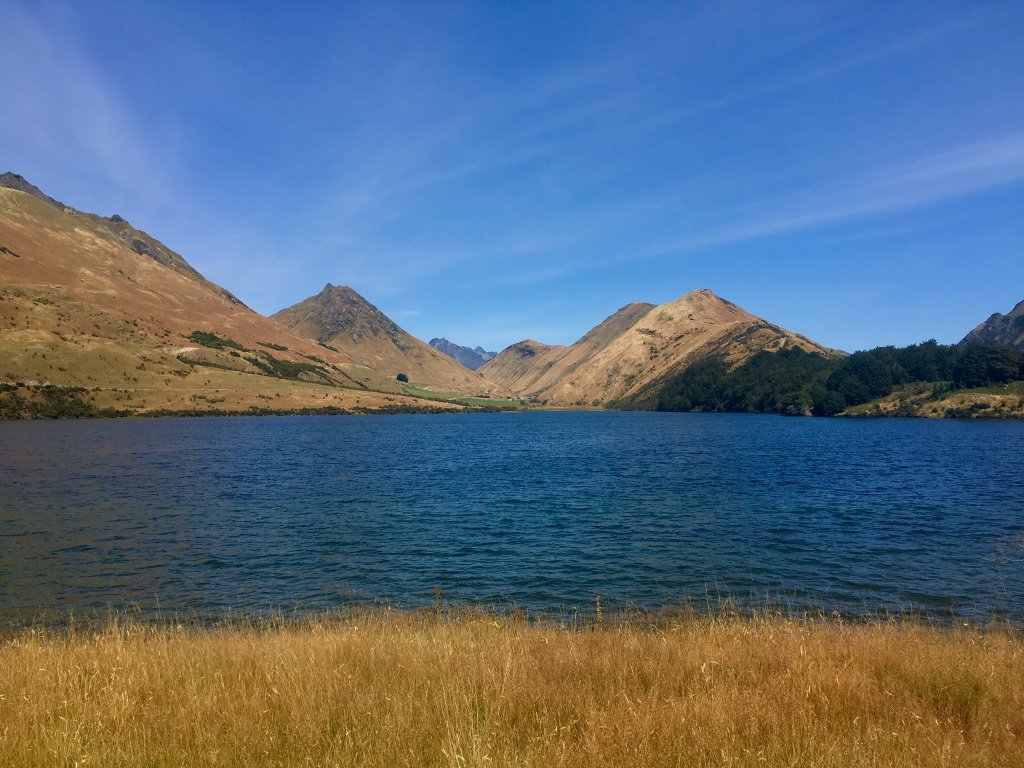 kth003's tweet photo. Road Trip! South Island of New Zealand. https://t.co/GMqKkWik1g https://t.co/jSG348ld6i