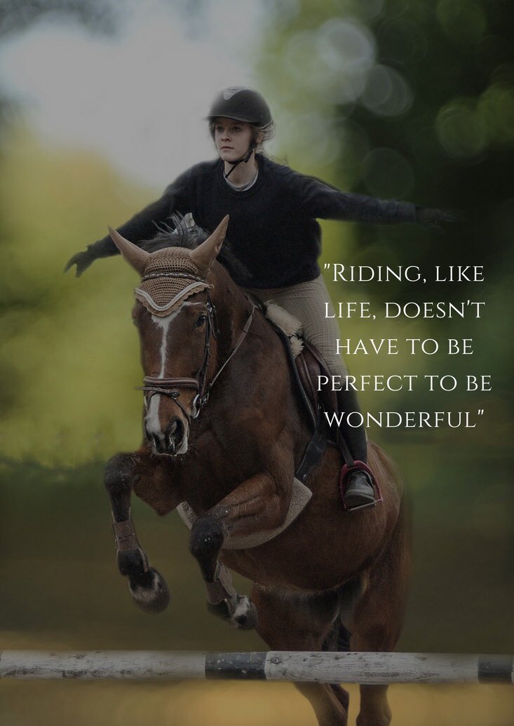 galloping geldings tweet media