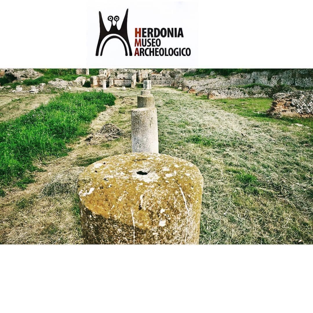 'I PORTICI DEL FORO DI HERDONIA'
Ringraziamo @fabiofelicecafora per questo scatto!📸
(Herdonia, vista coi vostri occhi e raccontata da noi...
#Herdonia #foro #fororomano #romanruins #romanarchitecture #Ordona #Puglia #Daunia  #culturalheritage #tesori_italiani #herdoniamuseo