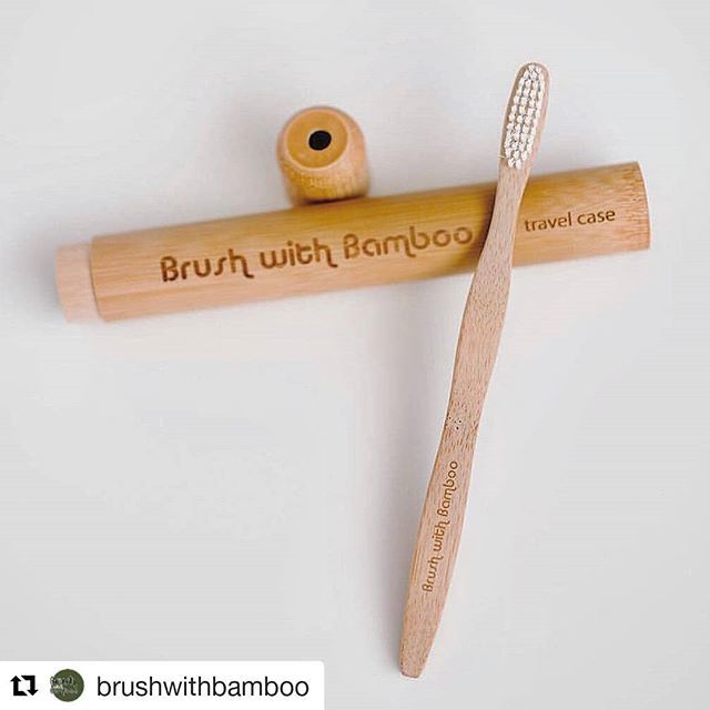 indisutras's tweet photo. #Repost @brushwithbamboo (@get_repost)
・・・
“Over 4.7 BILLION plastic toothbrushes that will never biodegrade are dumped into landfills and oceans EVERY year. 🌊⠀
⠀
Purchasing plastic-free alternatives for everyday items, is a vote against plastic.… https://t.co/54VrVaiPDG https://t.co/dDtiKP7Kq3