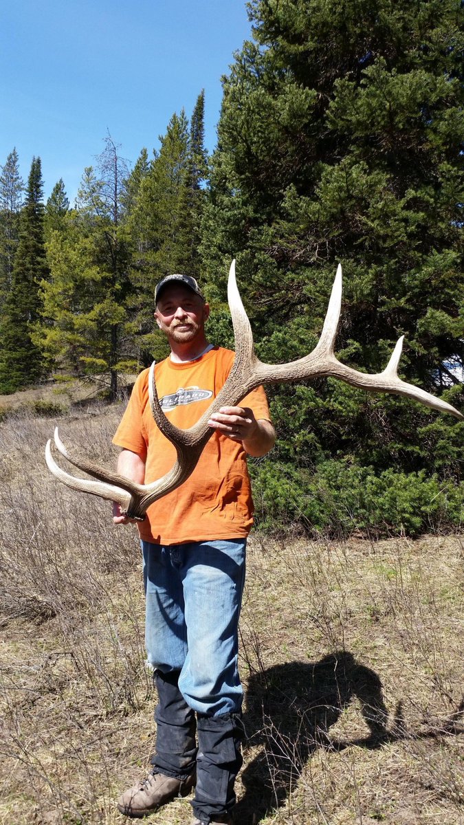 silverstarcom's tweet photo. If you think this antler is impressive, wait till you meet the man behind it! Check out this "Meet the Team" interview with Mat Holtman, Electrical Technician: https://t.co/XtIckgTStg
#meettheteam #employeefocus
#staffinterview #matholtman https://t.co/cXakLw9W9f