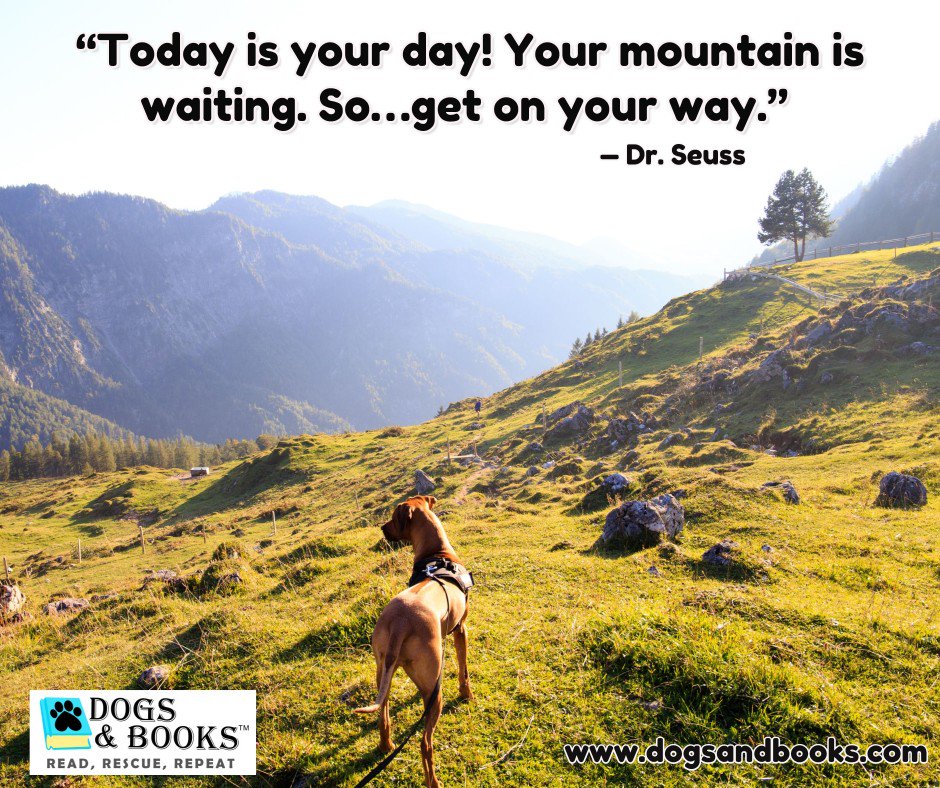 _DogsAndBooks's tweet photo. Happy Monday! Go get 'em!⭐️
#dogsandbooks #always #mountains #waiting #gogetit #MondayMotivation #monday https://t.co/IIrj4d9Egz