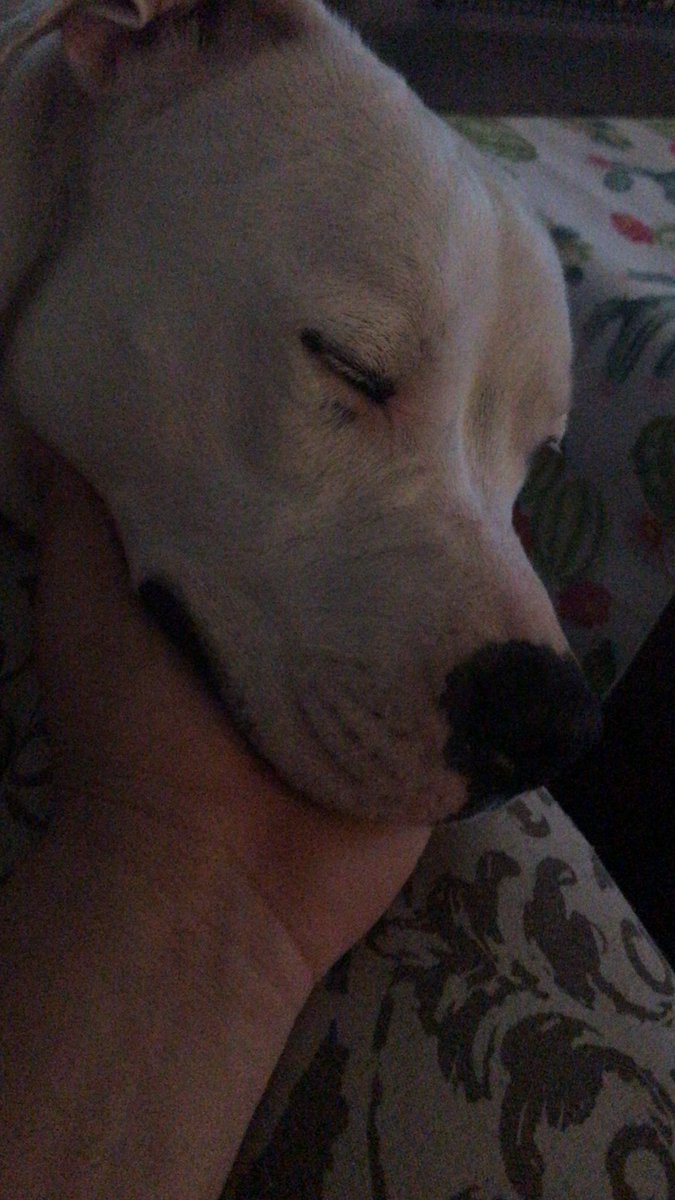 Relock15's tweet image. ROSIE!!!