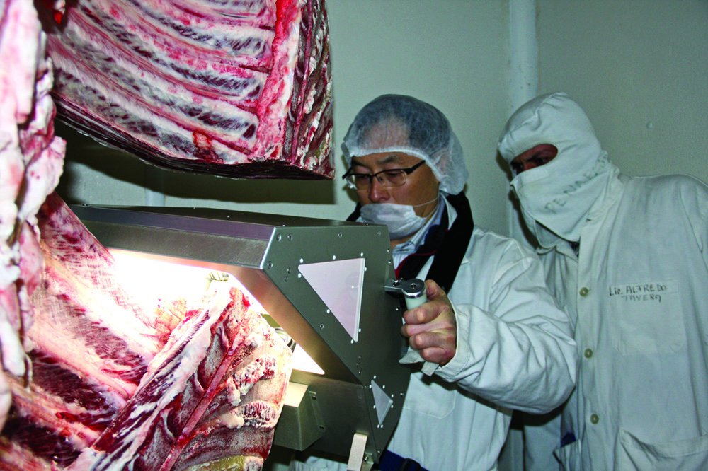 MarbleGenetics's tweet image. Abundance of performance and carcase records with pedigree information enables detailed breeding information to be analysed and reported. The performance of sires at the major abattoirs is readily available.