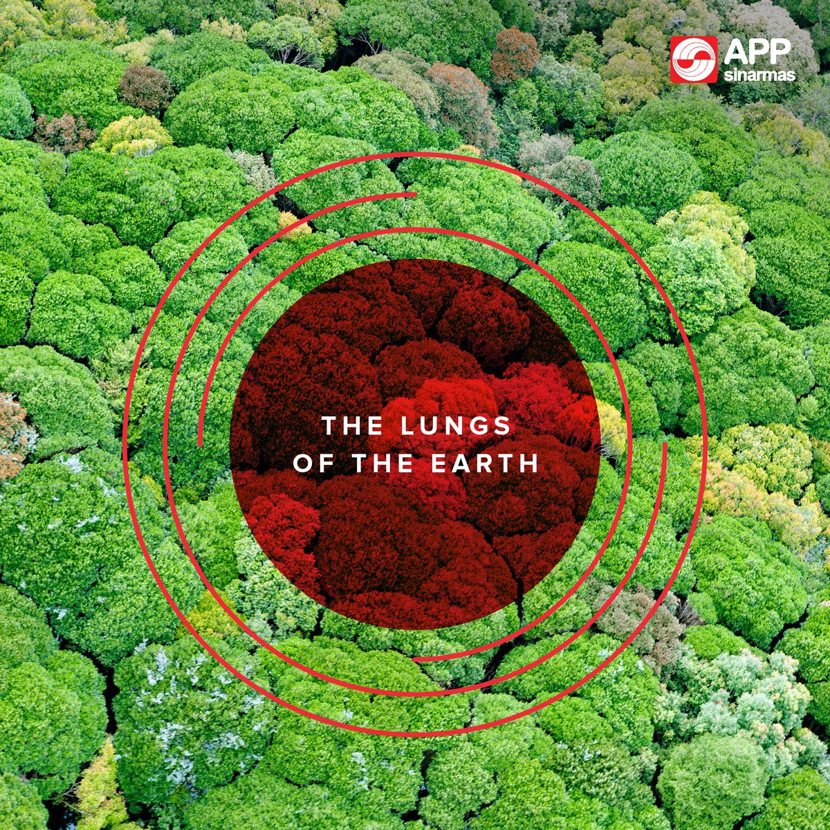 APP Group tweet media