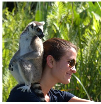 Wildland Adventures Opens Window on Wildlife and Culture of Madagascar
bit.ly/2urL7fx <a href="/WildTravel/">Wildland Adventures</a> #Madagascar #travel #adventuretravel