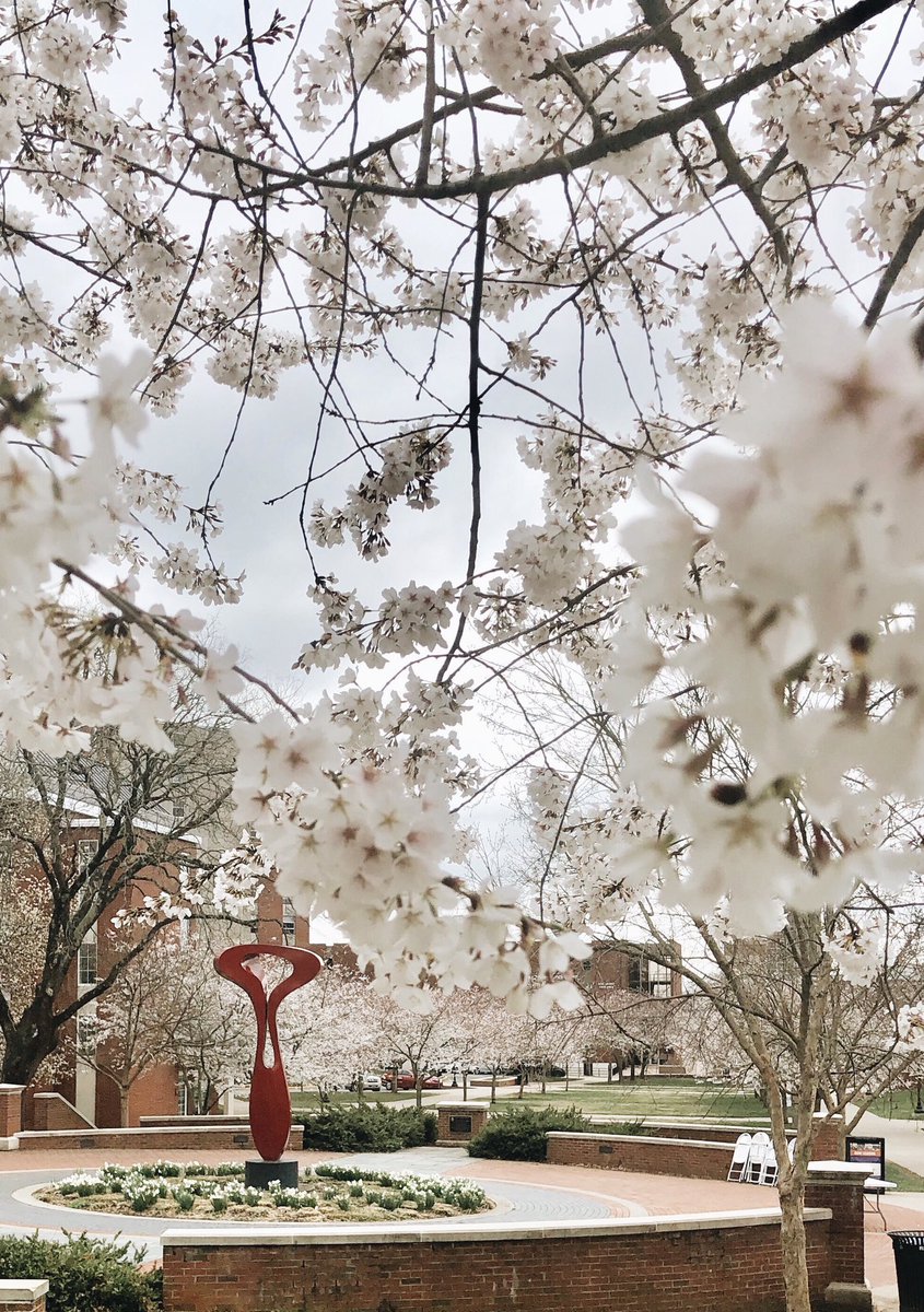 OwenOnTheHill's tweet image. It’s the most wonderful time of the year, Hilltoppers! #ClimbWithUs and enjoy the view.