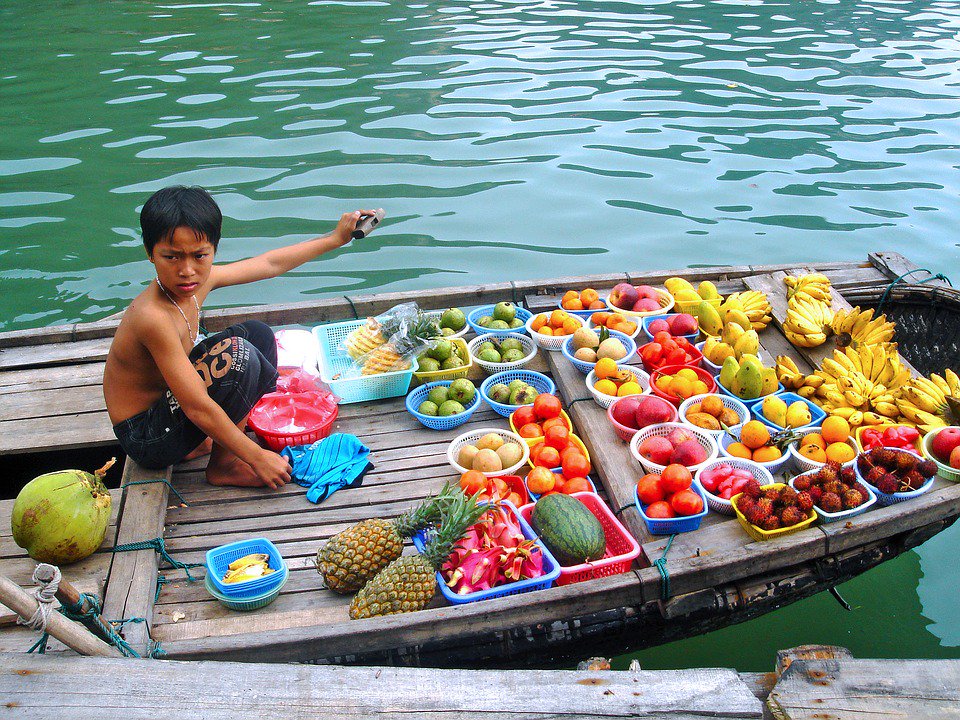 helloVietnamTO's tweet photo. Kid helps his parents selling goods in floating market
#floatingmarket #mekongdelta #mekong #southvietnam #southernvn #vietnam #hellovietnam #vietnamtravel #visitvietnam #vietnamtour https://t.co/sA18IcAcJ7