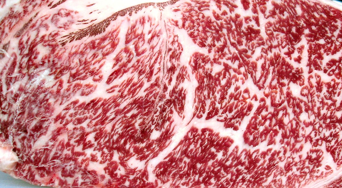 #Wagyu (和牛 Wagyū, "Japanese cow") is any of four Japanese breeds of beef cattle, the most desired of which is genetically predisposed to intense marbling and to producing a high percentage of oleaginous unsaturated fat.