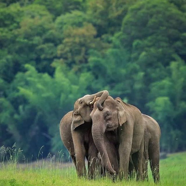 Luxurious_Lanka's tweet photo. Travel with us for a life changing travel experience.
#luxurioussrilanka #SriLanka #travel #traveler #travelling #traveldiaries #tourist #tour #mustwatch #amustsee #switchoffbrain #relaxing #amazingsrilanka #amazingSL #srilankatravel #visitsrilanka #adv… https://t.co/c3dGBLy81x https://t.co/L9yjJ6R1n3