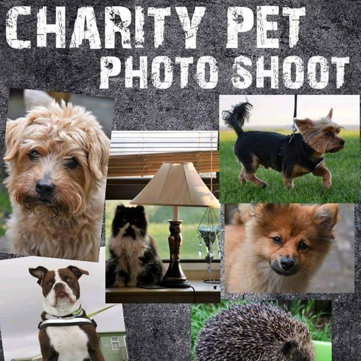 theoldsun1's tweet photo. Come get a beauty portrait of your pet next Tuesday 2nd April from 7pm. All proceeds to Haworth 60s event. #haworth60sweekend #doggosofhaworth #haworthcameraclub https://t.co/BjfugUJ6LQ