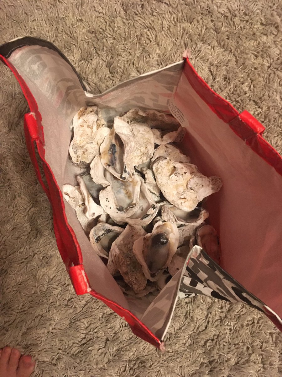 jake_steinkamp's tweet photo. 1. so my lil sister spent a whole day collecting these oyster shells in mexico for her friends and carried them all through the airport, although heavy and smelly. she then washed/ bleached them which made them lose a little bit of the color. when she went to school to pass them https://t.co/hmtJR0J2v0