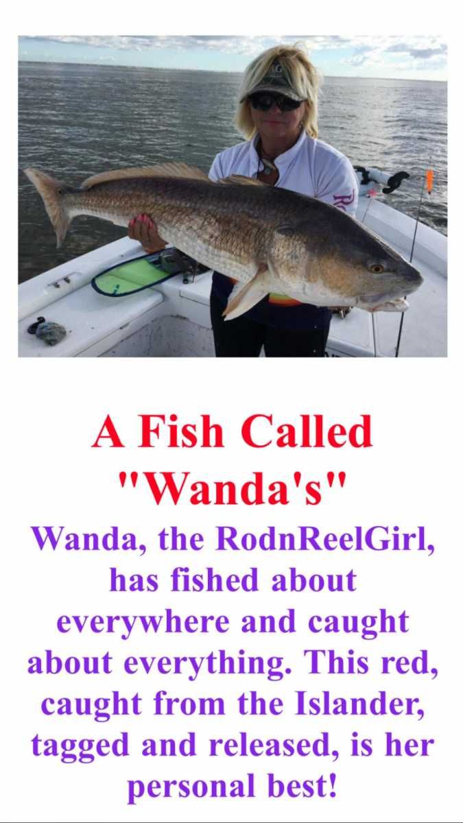 All RnR reports by Wanda Stewart 
Link:  rodnreel.com/report-author/… 
 WORLD CLASS TROUT and RED FISHING/ You are welcome to bring your own boats!