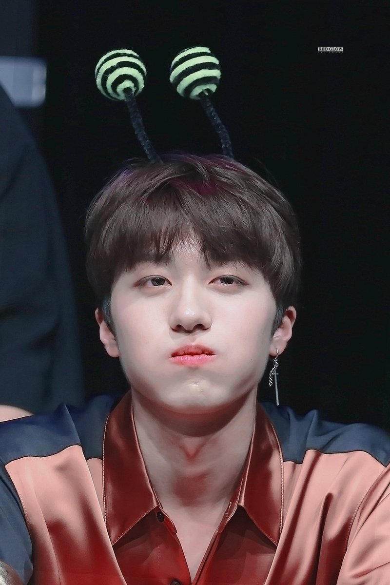 RED_CHANI's tweet photo. 전 이렇게 귀여운 꿀벌 본 적 없어서 설레는데요, 홍조까지 있으면 취향저격 타탕 https://t.co/A8KNbmm28B