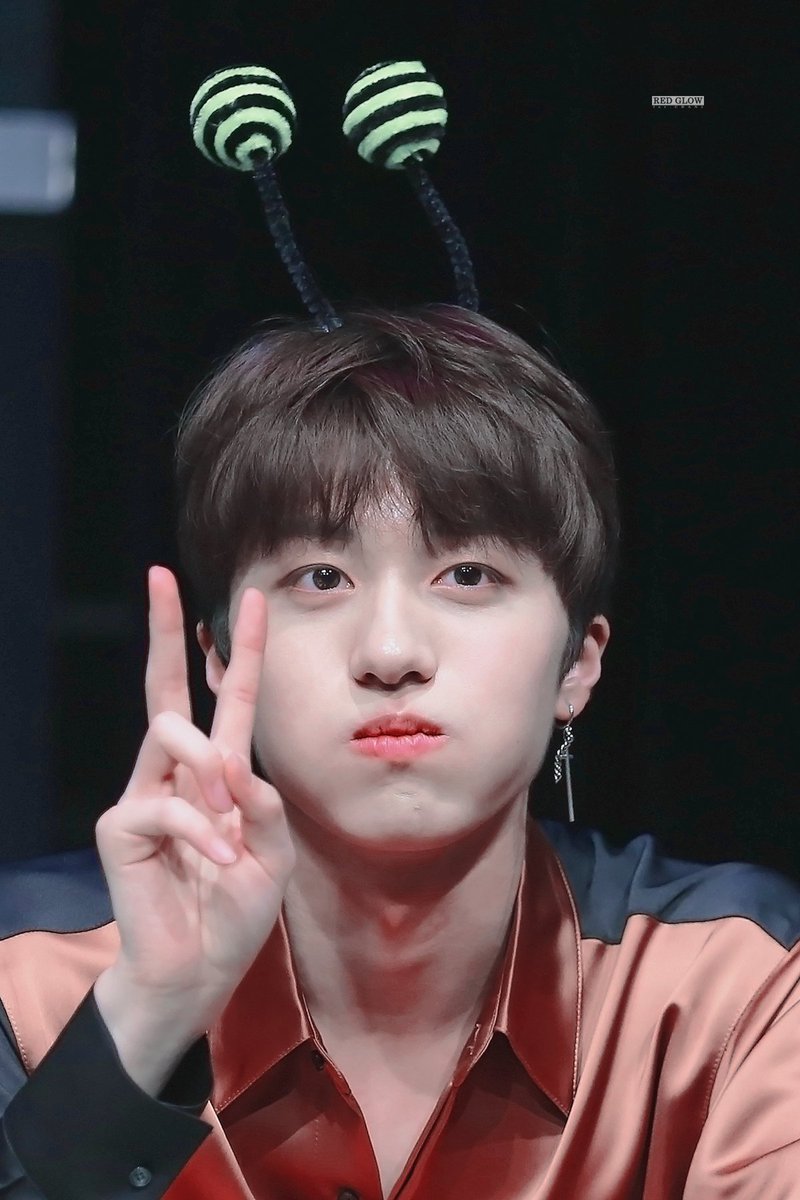 RED_CHANI's tweet photo. 전 이렇게 귀여운 꿀벌 본 적 없어서 설레는데요, 홍조까지 있으면 취향저격 타탕 https://t.co/A8KNbmm28B