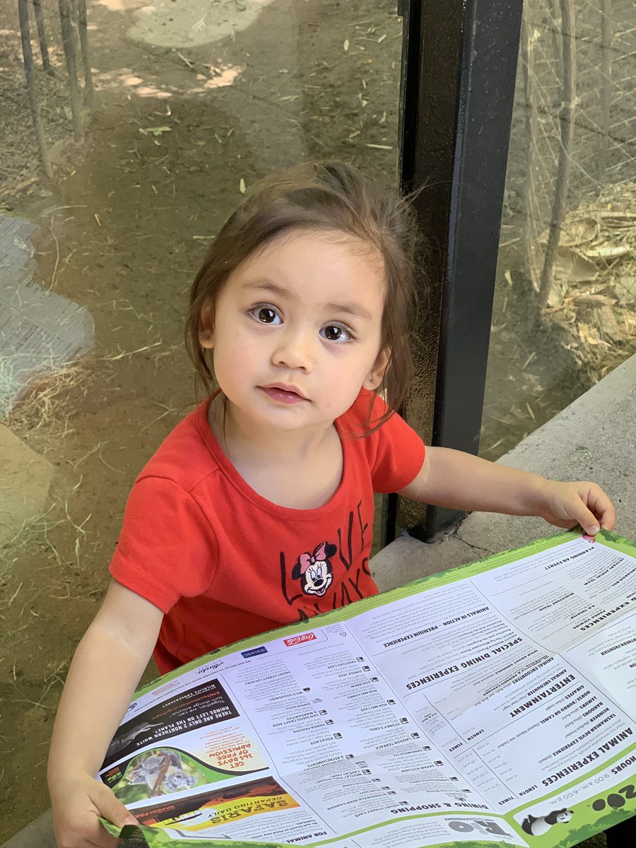 The_Bern_STI's tweet photo. It sad to see them go but I’m glad they they are off the endangered list and that my 2 year old daughter was able to see them for the first time. #Panda4Ever #sandiegoZoo #SanDiego #zoo @sandiegozoo https://t.co/4q19Yu1sIe